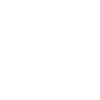 adviser